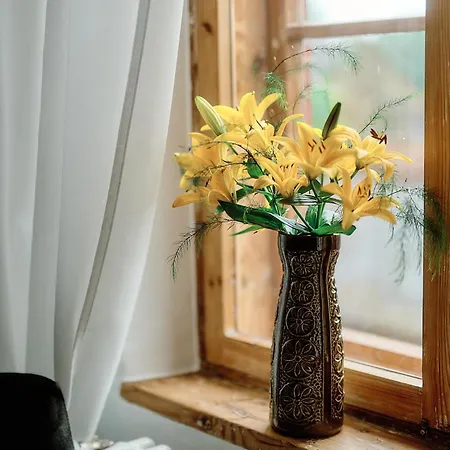 Your Lutsu Lux Retro Prime Spot Apartment