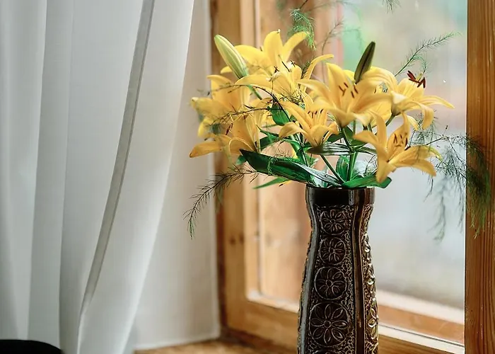 Your Lutsu Lux Retro Prime Spot Apartment